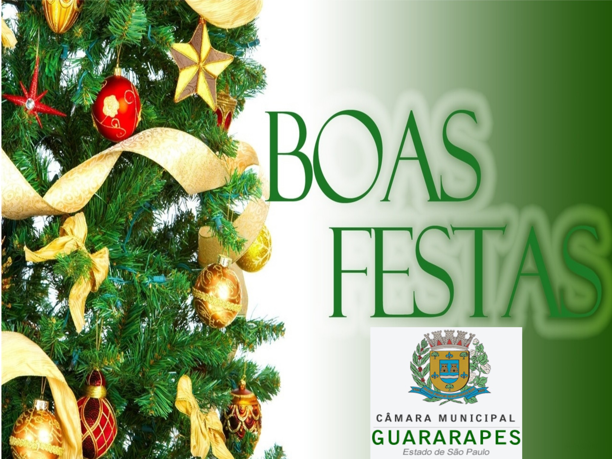 20181224_Sem título